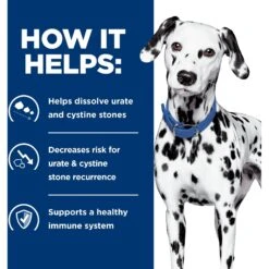 Hill's Prescription Diet U/d Urinary Care Original Flavor Dry Dog Food 15 Hill's Prescription Diet U/d Urinary Care Original Flavor Dry Dog Food -Hill's Science Plan Store 69795 PT4. AC SS1800 V1657661020