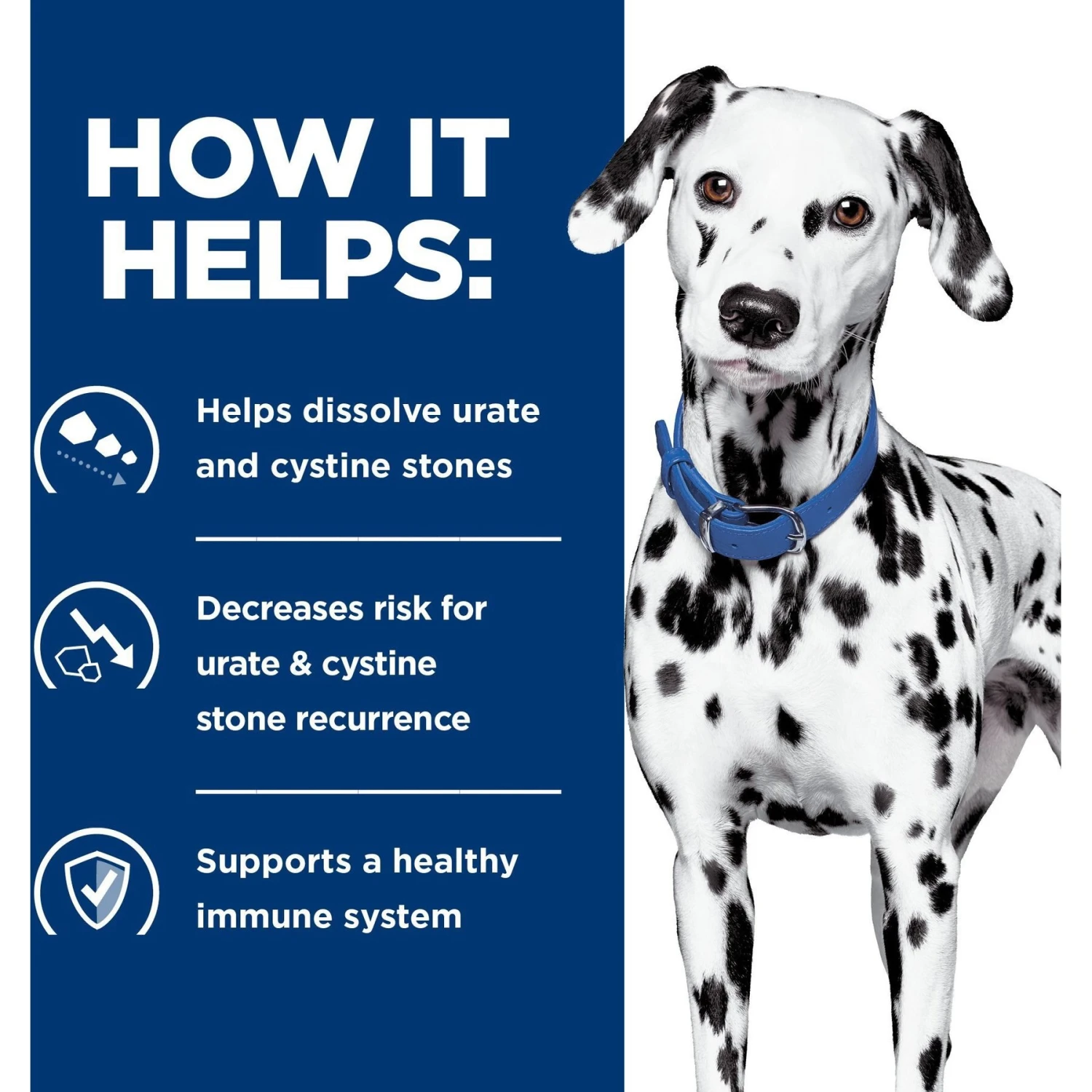 Hill's Prescription Diet U/d Urinary Care Original Flavor Dry Dog Food 7 Hill's Prescription Diet U/d Urinary Care Original Flavor Dry Dog Food - Image 5