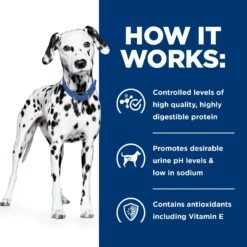 Hill's Prescription Diet U/d Urinary Care Original Flavor Dry Dog Food 16 Hill's Prescription Diet U/d Urinary Care Original Flavor Dry Dog Food -Hill's Science Plan Store 69795 PT5. AC SS1800 V1657661020