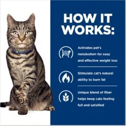 Hill's Prescription Diet Metabolic Chicken Flavor Dry Cat Food -Hill's Science Plan Store 69812 PT5. AC SS1800 V1668547936