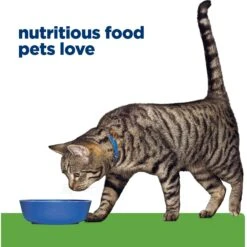 Hill's Prescription Diet Metabolic Chicken Flavor Dry Cat Food -Hill's Science Plan Store 69812 PT6. AC SS1800 V1668550702