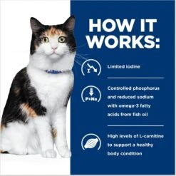 Hill's Prescription Diet Y/d Thyroid Care With Chicken Wet Cat Food 16 Hill's Prescription Diet Y/d Thyroid Care With Chicken Wet Cat Food -Hill's Science Plan Store 69820 PT5. AC SS1800 V1688073588