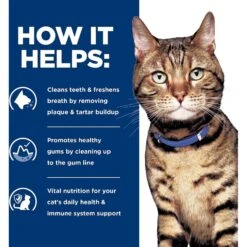 Hill's Prescription Diet T/d Dental Care Chicken Flavor Dry Cat Food 15 Hill's Prescription Diet T/d Dental Care Chicken Flavor Dry Cat Food -Hill's Science Plan Store 69828 PT4. AC SS1800 V1650987688