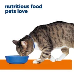 Hill's Prescription Diet S/d Urinary Care Chicken Flavor Dry Cat Food -Hill's Science Plan Store 69830 PT6. AC SS1800 V1668549928