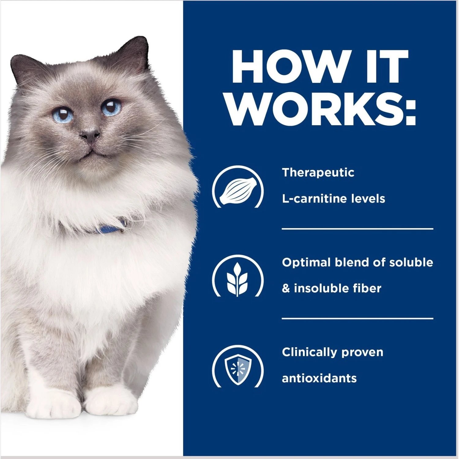 Hill's Prescription Diet R/d Weight Reduction Chicken Flavor Dry Cat Food 8 Hill's Prescription Diet R/d Weight Reduction Chicken Flavor Dry Cat Food - Image 6