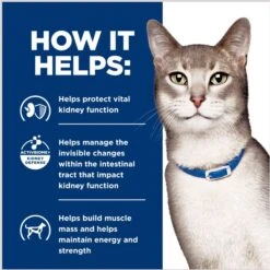 Hill's Prescription Diet K/d Kidney Care With Chicken Wet Cat Food -Hill's Science Plan Store 69844 PT5. AC SS1800 V1691772508