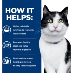 Hill's Prescription Diet I/d Digestive Care With Chicken Dry Cat Food 15 Hill's Prescription Diet I/d Digestive Care With Chicken Dry Cat Food -Hill's Science Plan Store 69847 PT4. AC SS1800 V1657661019