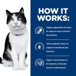 Hill's Prescription Diet I/d Digestive Care With Chicken Dry Cat Food 16 Hill's Prescription Diet I/d Digestive Care With Chicken Dry Cat Food -Hill's Science Plan Store 69847 PT5. AC SS1800 V1651202512