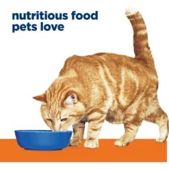 Hill's Prescription Diet C/d Multicare Urinary Care With Chicken Wet Cat Food -Hill's Science Plan Store 69865 PT3. AC SS1800 V1651202505