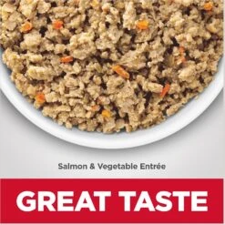 Hill's Science Diet Adult Sensitive Stomach & Skin Grain-Free Salmon & Vegetable Entree Canned Dog Food 15 Hill's Science Diet Adult Sensitive Stomach & Skin Grain-Free Salmon & Vegetable Entree Canned Dog Food -Hill's Science Plan Store 74199 PT4. AC SS1800 V1612828572