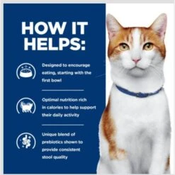 Hill's Prescription Diet ONC Care Dry Cat Food -Hill's Science Plan Store 765310 PT3. AC SS1800 V1680099882