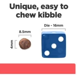 Hill's Prescription Diet ONC Care Dry Cat Food -Hill's Science Plan Store 765310 PT5. AC SS1800 V1680099824