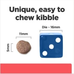 Hill's Prescription Diet ONC Care Dry Dog Food -Hill's Science Plan Store 765326 PT5. AC SS1800 V1675112982