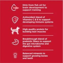 Hill's Science Diet Puppy Large Breed Lamb Meal & Brown Rice Recipe Dry Dog Food 13 Hill's Science Diet Puppy Large Breed Lamb Meal & Brown Rice Recipe Dry Dog Food -Hill's Science Plan Store 779126 PT2. AC SS1800 V1676907196