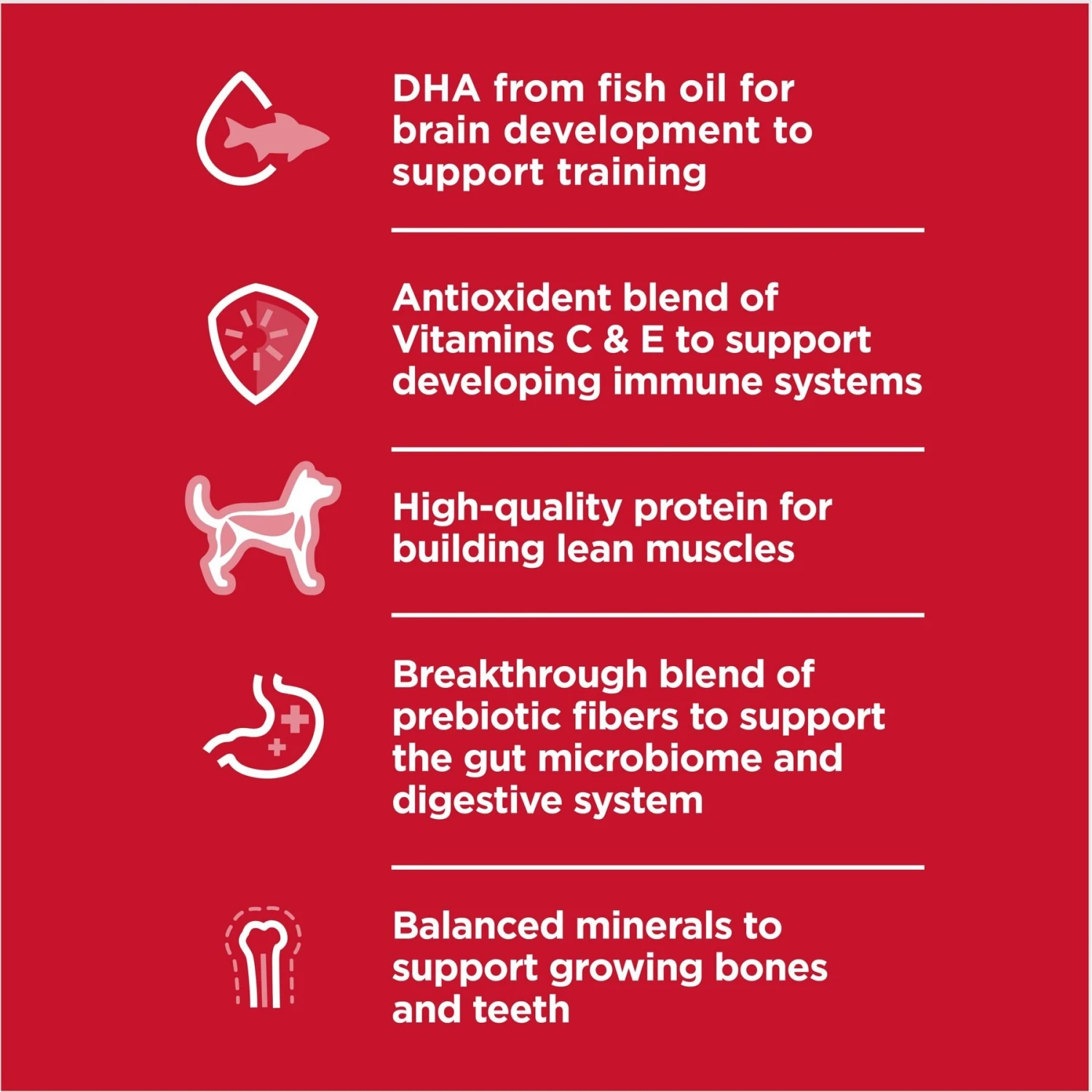 Hill's Science Diet Puppy Large Breed Lamb Meal & Brown Rice Recipe Dry Dog Food 5 Hill's Science Diet Puppy Large Breed Lamb Meal & Brown Rice Recipe Dry Dog Food - Image 3