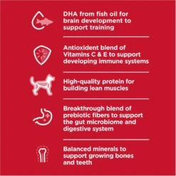 Hill's Science Diet Puppy Large Breed Chicken & Brown Rice Recipe Dry Dog Food -Hill's Science Plan Store 779142 PT2. AC SS1800 V1676907199