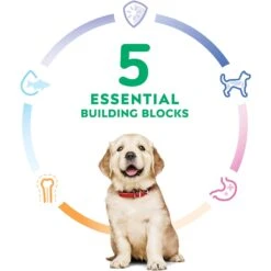 Hill's Science Diet Puppy Large Breed Chicken & Brown Rice Recipe Dry Dog Food -Hill's Science Plan Store 779142 PT4. AC SS1800 V1676748535