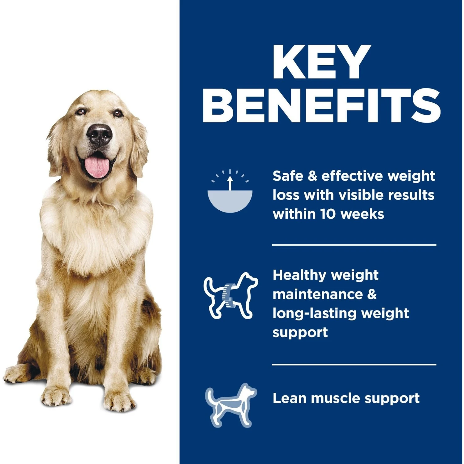 Hill's Science Diet Adult Perfect Weight Chicken Recipe Dry Dog Food 8 Hill's Science Diet Adult Perfect Weight Chicken Recipe Dry Dog Food - Image 6