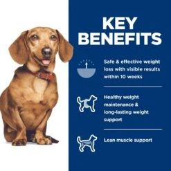 Hill's Science Diet Adult Perfect Weight Small & Mini Chicken Recipe Dry Dog Food 17 Hill's Science Diet Adult Perfect Weight Small & Mini Chicken Recipe Dry Dog Food -Hill's Science Plan Store 794902 PT6. AC SS1800 V1682950512