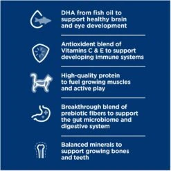 Hill's Science Diet Kitten Dry Ocean Fish & Brown Rice Recipe Dry Cat Food -Hill's Science Plan Store 804070 PT3. AC SS1800 V1682950491
