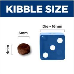 Hill's Science Diet Kitten Dry Ocean Fish & Brown Rice Recipe Dry Cat Food -Hill's Science Plan Store 804070 PT4. AC SS1800 V1682950492