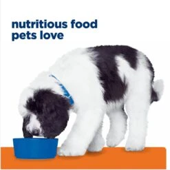 Hill's Prescription Diet C/d Multicare Urinary Care Chicken & Vegetable Stew Canned Dog Food -Hill's Science Plan Store 80492 PT7. AC SS1800 V1676910310
