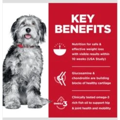 Hill's Science Diet Perfect Weight & Joint Support Chicken Flavored Adult Dry Dog Food -Hill's Science Plan Store 819494 PT3. AC SS1800 V1683207482