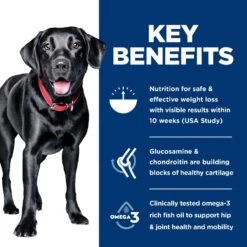 Hill's Science Diet Perfect Weight & Joint Support Chicken Flavored Large Breed Adult Dry Dog Food, 25-lb Bag -Hill's Science Plan Store 819510 PT5. AC SS1800 V1683207478