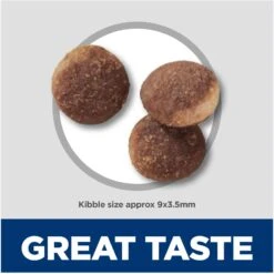 Hill's Science Diet Sensitive Stomach & Sensitive Skin Pollock Meal & Barley Recipe Adult Dry Cat Food -Hill's Science Plan Store 819934 PT5. AC SS1800 V1681400031