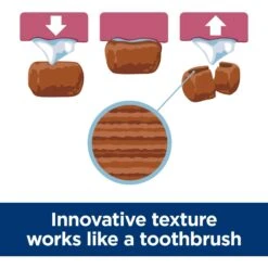 Hill's Science Diet Oral Care Small & Mini Chicken Recipe Adult Dry Dog Food -Hill's Science Plan Store 825798 PT3. AC SS1800 V1689970941