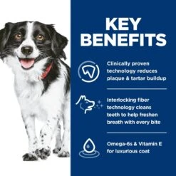 Hill's Science Diet Oral Care Small & Mini Chicken Recipe Adult Dry Dog Food -Hill's Science Plan Store 825798 PT5. AC SS1800 V1689970360