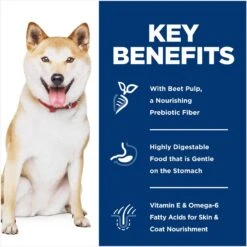 Hill's Science Diet Adult Sensitive Stomach & Skin Pollock Meal, Barley & Insect Meal Recipe Dry Dog Food 14 Hill's Science Diet Adult Sensitive Stomach & Skin Pollock Meal, Barley & Insect Meal Recipe Dry Dog Food -Hill's Science Plan Store 851670 PT4. AC SS1800 V1683901178