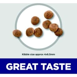 Hill's Science Diet Puppy Small & Mini Chicken Meal & Brown Rice Recipe Dry Dog Food -Hill's Science Plan Store 855614 PT4. AC SS1800 V1683901178