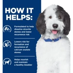 Hill's Prescription Diet C/d Multicare Urinary Care Chicken Flavor Dry Dog Food -Hill's Science Plan Store 87463 PT3. AC SS1800 V1651194158