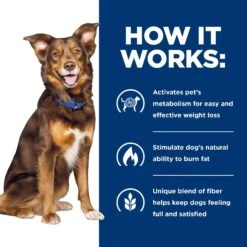 Hill's Prescription Diet Metabolic Weight Management Vegetable & Beef Stew Canned Dog Food -Hill's Science Plan Store 87468 PT6. AC SS1800 V1521064463