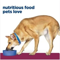 Hill's Prescription Diet I/d Digestive Care Chicken Flavor Dry Dog Food -Hill's Science Plan Store 89368 PT2. AC SS1800 V1647293852