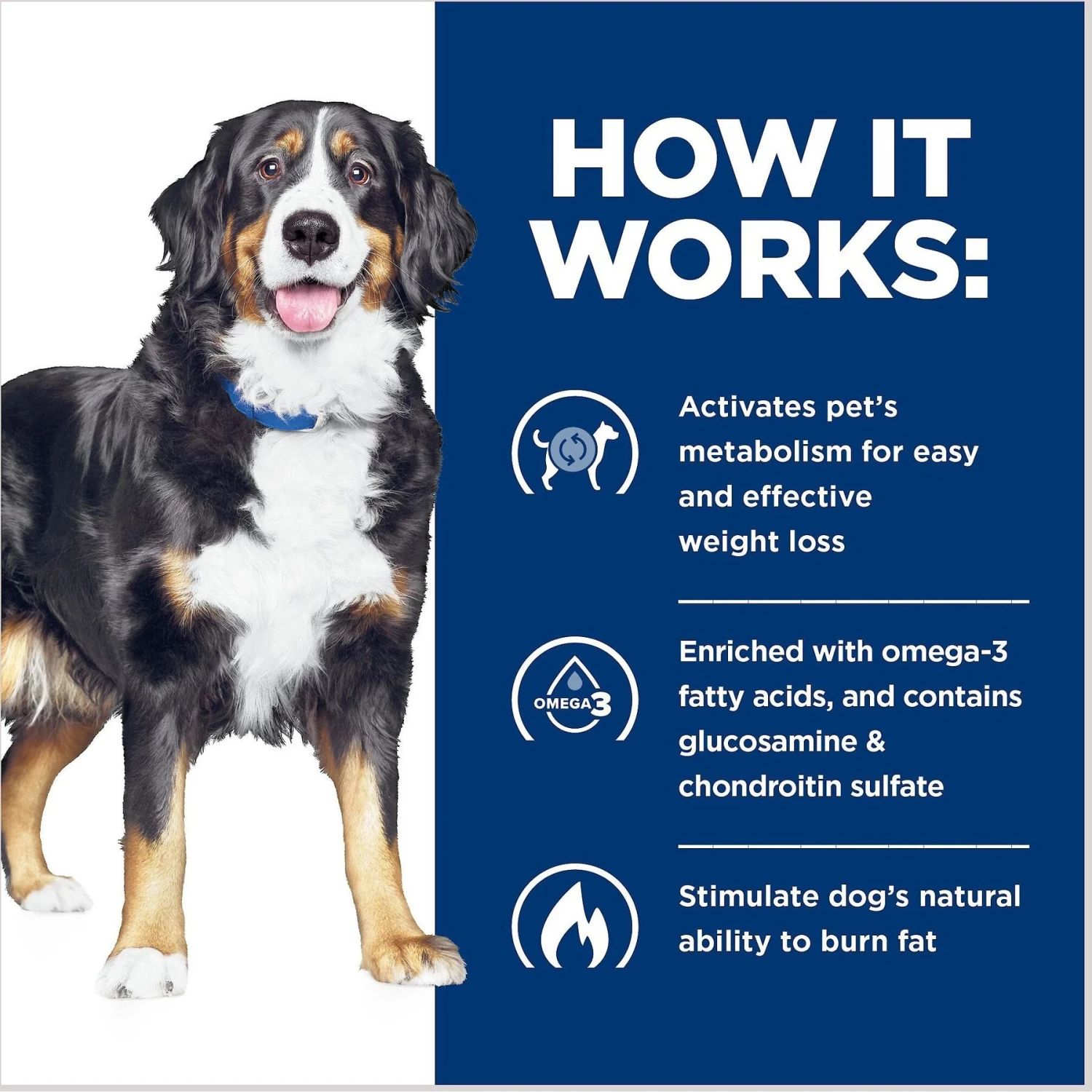 Hill's Prescription Diet Metabolic + Mobility J/d Chicken Flavor Dry Dog Food 8 Hill's Prescription Diet Metabolic + Mobility J/d Chicken Flavor Dry Dog Food - Image 6