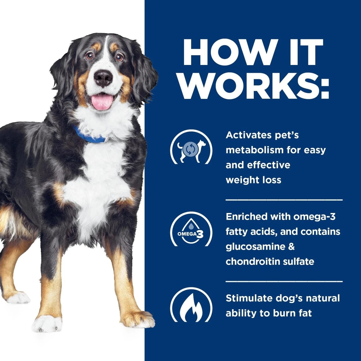 Hill's Prescription Diet Metabolic + Mobility Weight & Joint Care Vegetable & Tuna Stew Canned Dog Food 9 Hill's Prescription Diet Metabolic + Mobility Weight & Joint Care Vegetable & Tuna Stew Canned Dog Food - Image 7