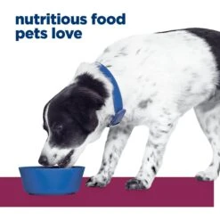 Hill's Prescription Diet I/d Digestive Care Stress Rice, Vegetable & Chicken Stew Canned Dog Food -Hill's Science Plan Store 90686 PT2. AC SS1800 V1687986907