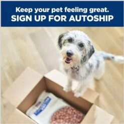 Hill's Prescription Diet I/d Digestive Care Stress Rice, Vegetable & Chicken Stew Canned Dog Food -Hill's Science Plan Store 90686 PT6. AC SS1800 V1687982887