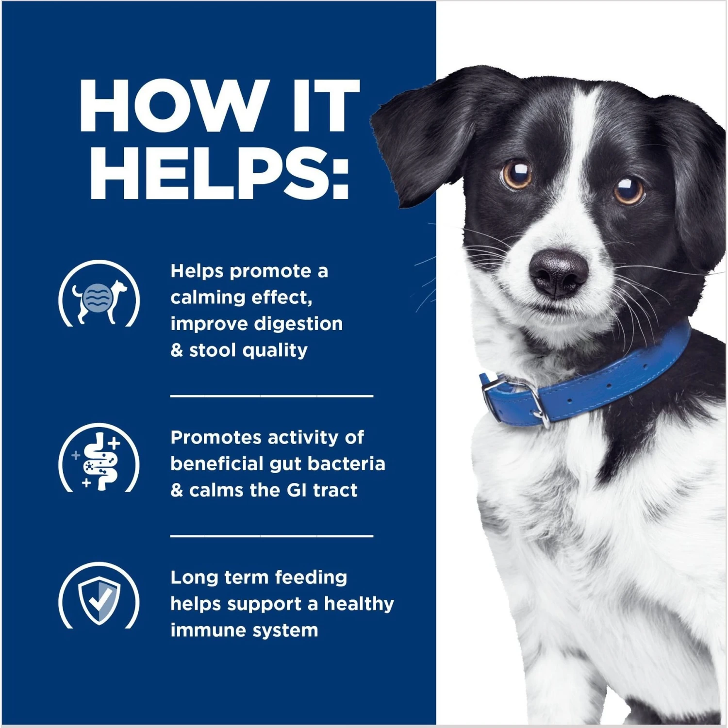 Hill's Prescription Diet I/d Digestive Care Stress Chicken Flavor Dry Dog Food 7 Hill's Prescription Diet I/d Digestive Care Stress Chicken Flavor Dry Dog Food - Image 5