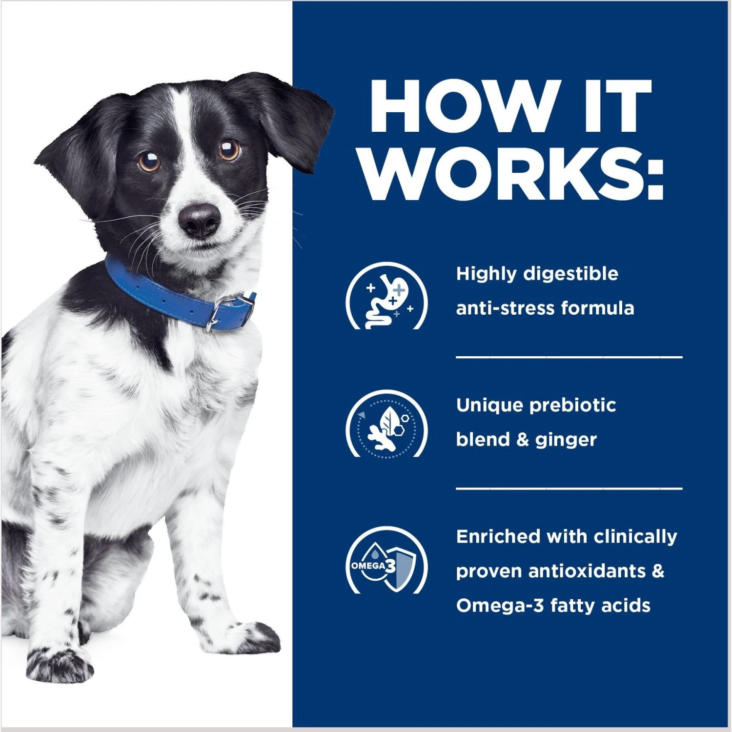 Hill's Prescription Diet I/d Digestive Care Stress Chicken Flavor Dry Dog Food 8 Hill's Prescription Diet I/d Digestive Care Stress Chicken Flavor Dry Dog Food - Image 6