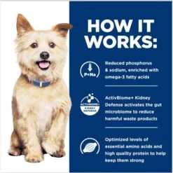 Hill's Prescription Diet K/d Kidney Care With Lamb Canned Dog Food -Hill's Science Plan Store 91075 PT6. AC SS1800 V1688761274