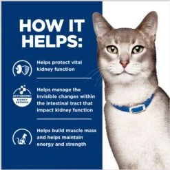 Hill's Prescription Diet K/d Kidney Care With Ocean Fish Dry Cat Food -Hill's Science Plan Store 92893 PT5. AC SS1800 V1691772452