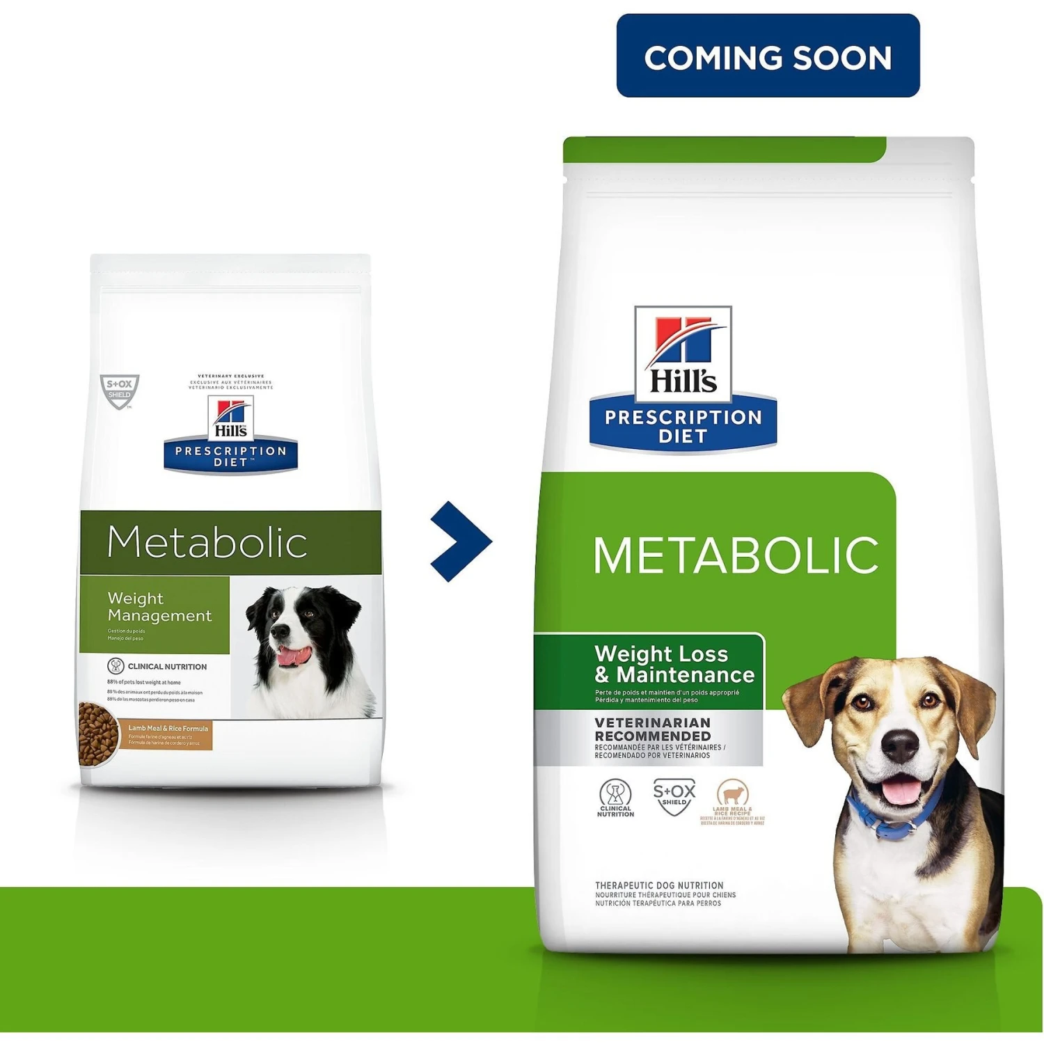 Hill's Prescription Diet Metabolic Lamb Meal & Rice Dry Dog Food 4 Hill's Prescription Diet Metabolic Lamb Meal & Rice Dry Dog Food - Image 2