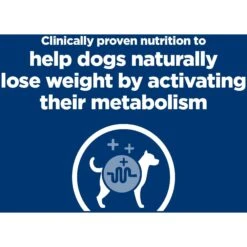 Hill's Prescription Diet Metabolic Lamb Meal & Rice Dry Dog Food 14 Hill's Prescription Diet Metabolic Lamb Meal & Rice Dry Dog Food -Hill's Science Plan Store 92898 PT3. AC SS1800 V1657661114