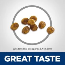 Hill's Science Diet Adult 7+ Chicken Recipe Dry Cat Food -Hill's Science Plan Store 93924 PT2. AC SS1800 V1598151665