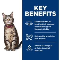 Hill's Science Diet Adult Chicken Recipe Dry Cat Food -Hill's Science Plan Store 93925 PT5. AC SS1800 V1634575573