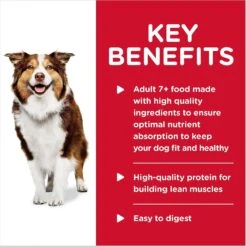 Hill's Science Diet Adult 7+ Healthy Cuisine Roasted Chicken, Carrots & Spinach Stew Canned Dog Food -Hill's Science Plan Store 94004 PT3. AC SS1800 V1598147492