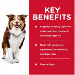 Hill's Science Diet Adult Healthy Cuisine Braised Beef, Carrots & Peas Stew Canned Dog Food -Hill's Science Plan Store 94006 PT3. AC SS1800 V1598148653